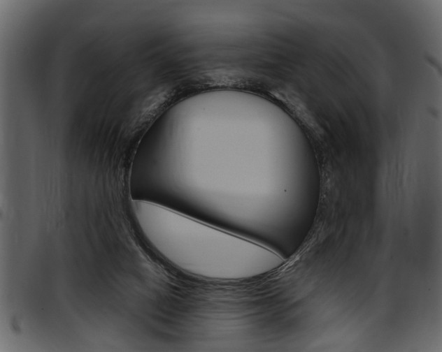 X0000097600066200802290742