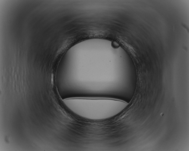 X0000097600067200802290742