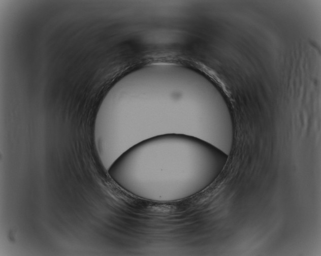 X0000097600069200802290742