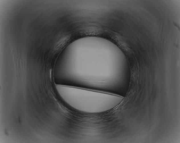 X0000097600070200802290742