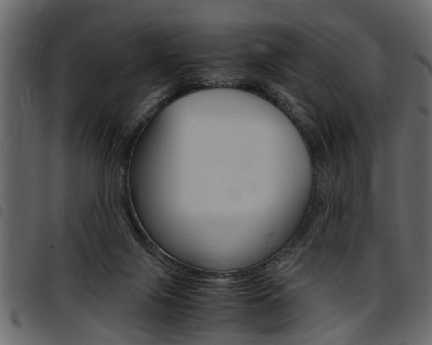 X0000097600071200802290742