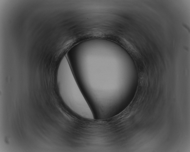 X0000097600072200802290742
