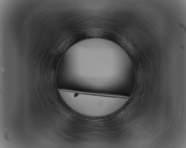 X0000097600073200802290742
