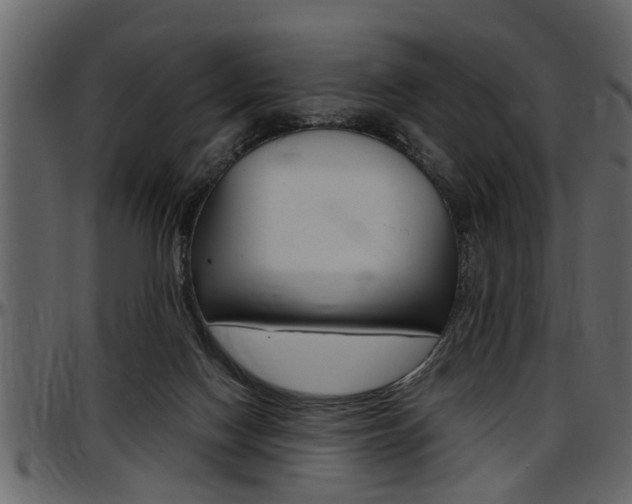 X0000097600074200802290742