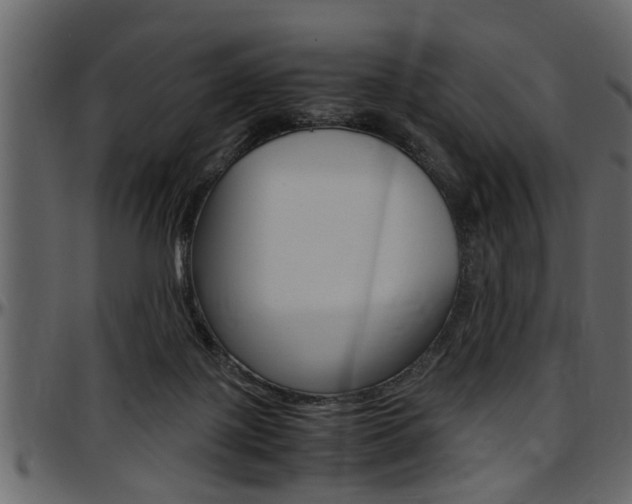 X0000097600075200802290742
