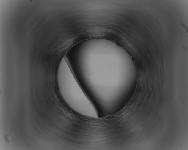 X0000097600076200802290742