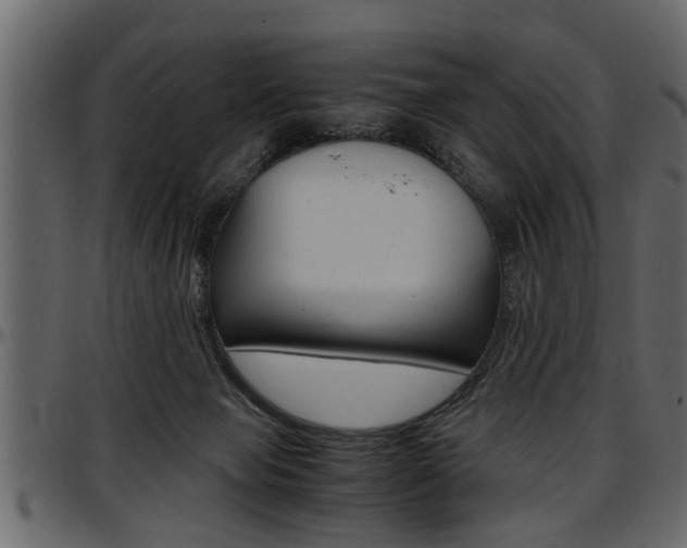 X0000097600077200802290742