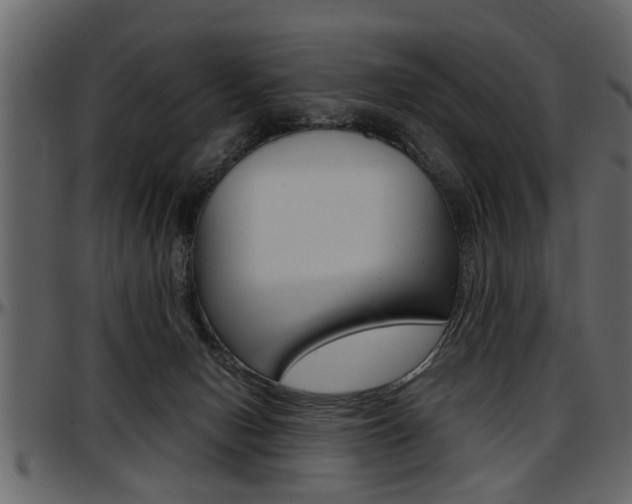 X0000097600078200802290742