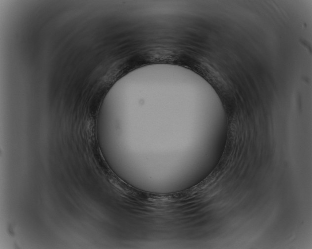X0000097600079200802290742