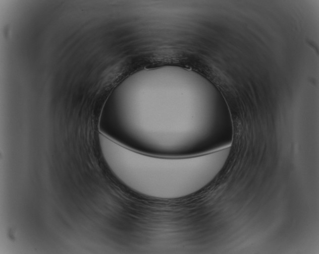 X0000097600080200802290742