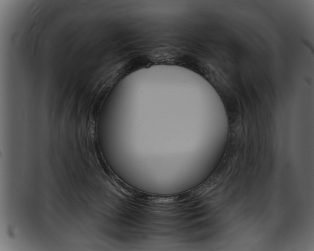X0000097600081200802290742