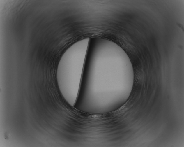 X0000097600082200802290742