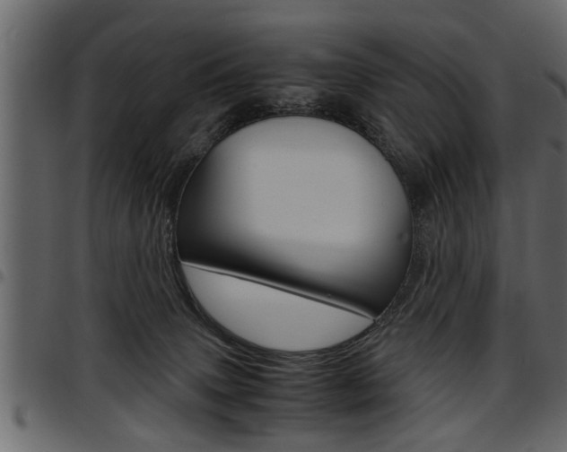 X0000097600083200802290742