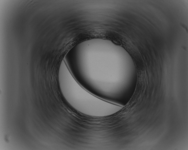 X0000097600084200802290742