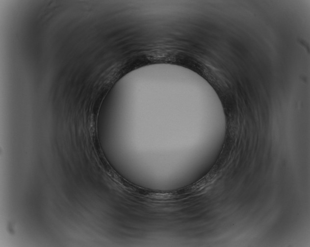 X0000097600085200802290742