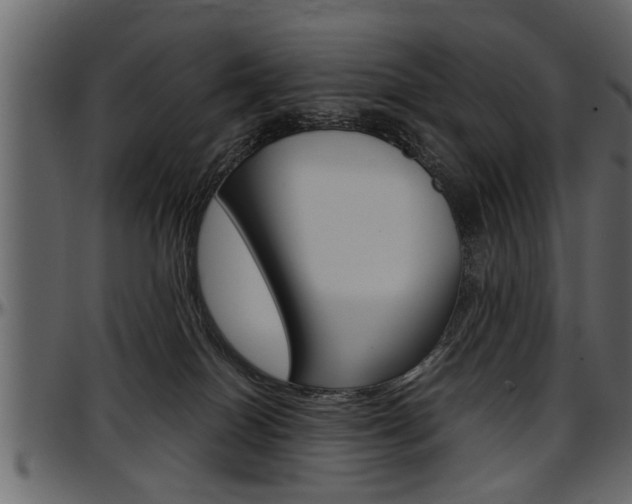 X0000097600086200802290742