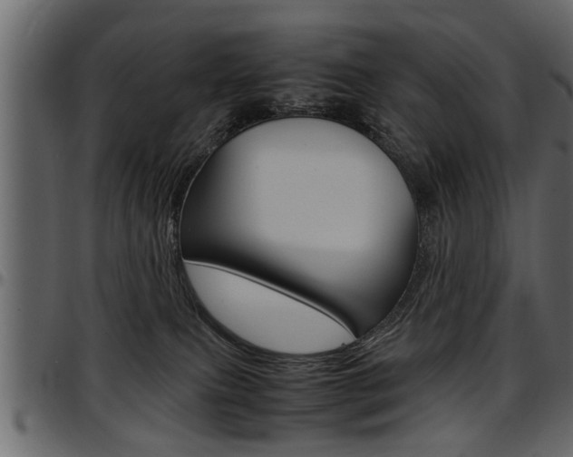 X0000097600087200802290742