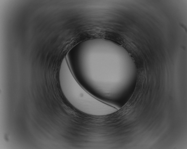 X0000097600088200802290742