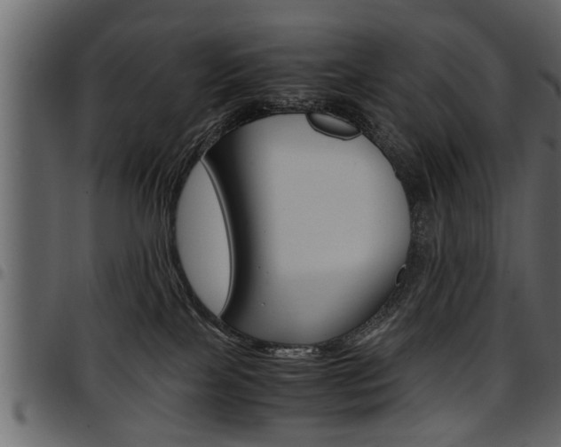 X0000097600089200802290742