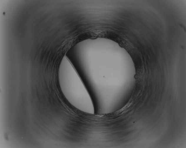 X0000097600090200802290742