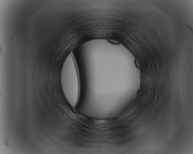 X0000097600091200802290742