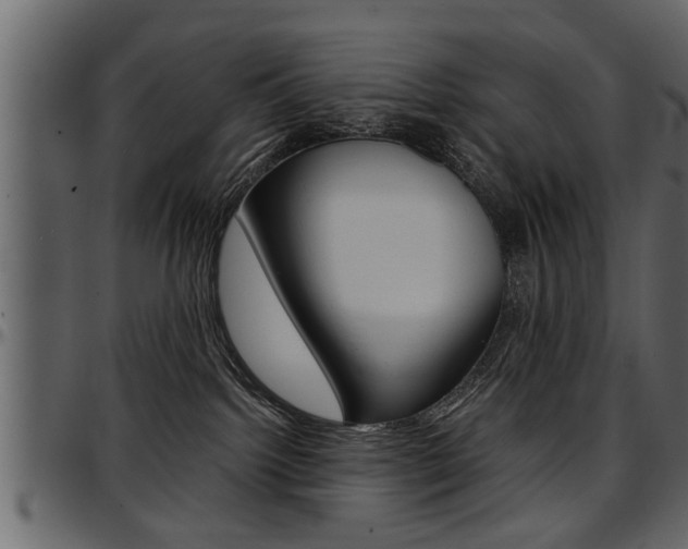 X0000097600092200802290742