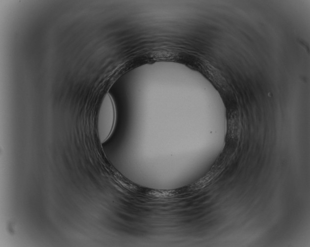 X0000097600093200802290742