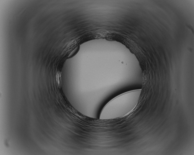 X0000097600094200802290742