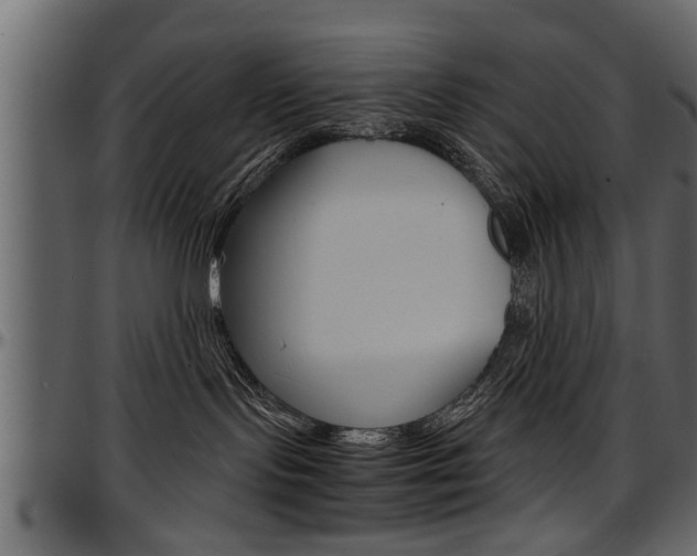 X0000097600095200802290742