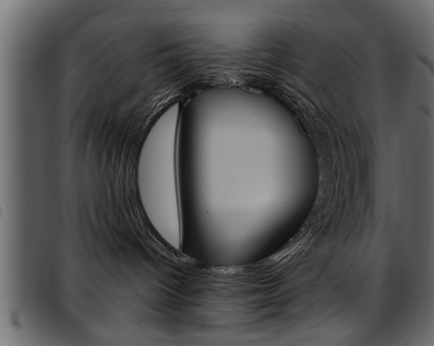 X0000097600096200802290742