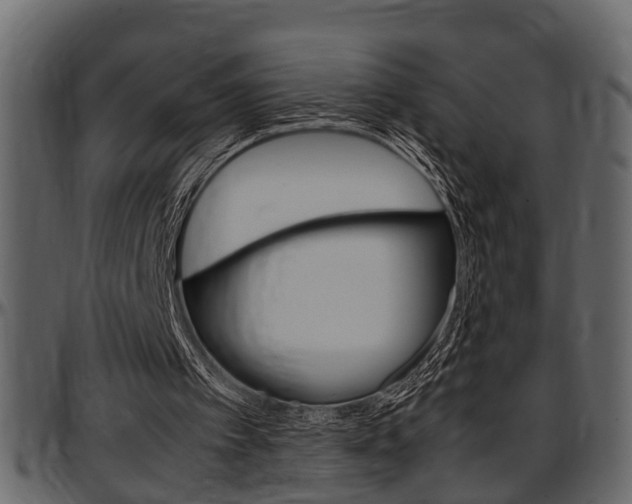 X0000097600097200802290741