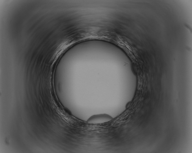X0000097600098200802290741