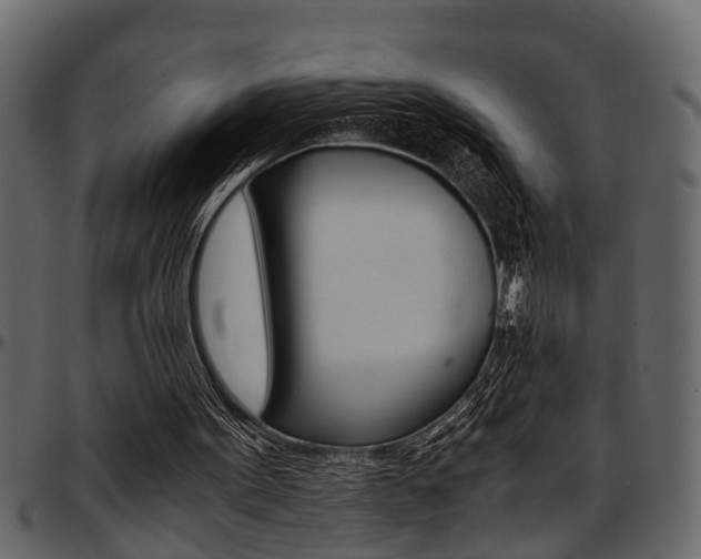 X0000097600099200802290741