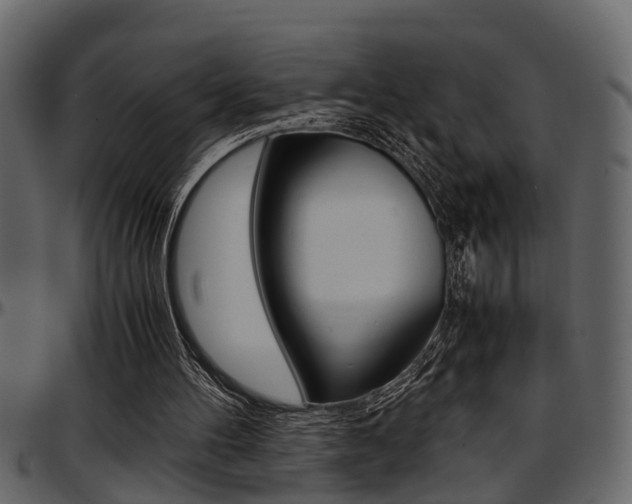 X0000097600100200802290741