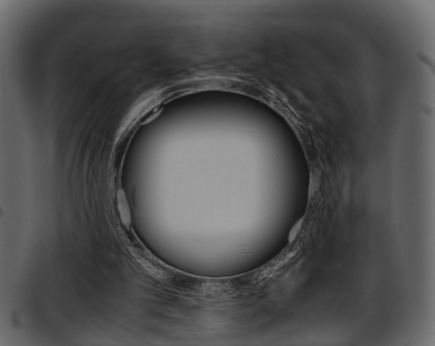 X0000097600101200802290741