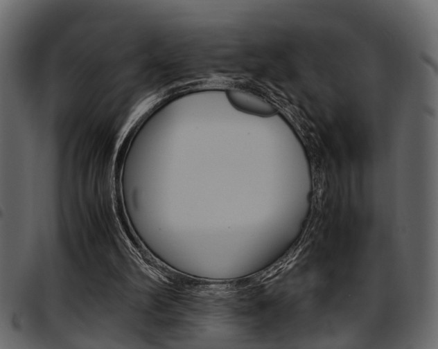 X0000097600102200802290741