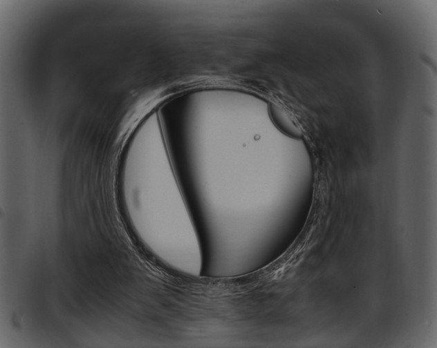 X0000097600103200802290741