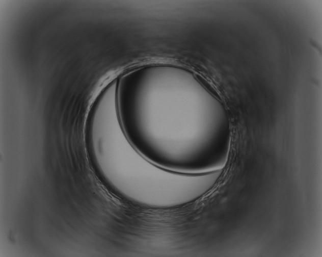 X0000097600104200802290741