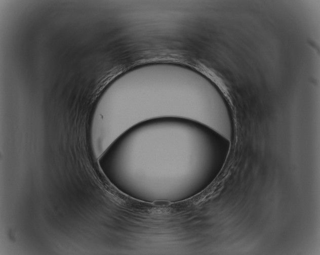 X0000097600105200802290741