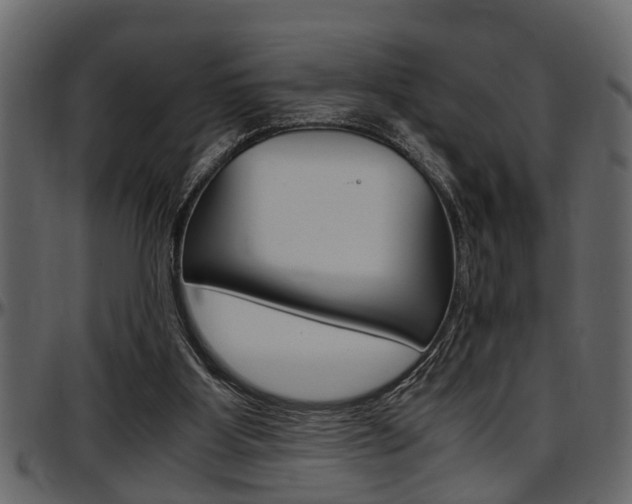 X0000097600107200802290741