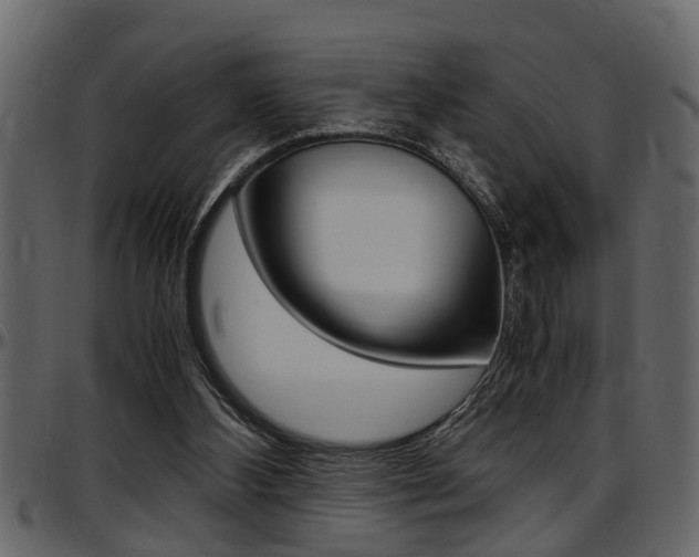 X0000097600108200802290741