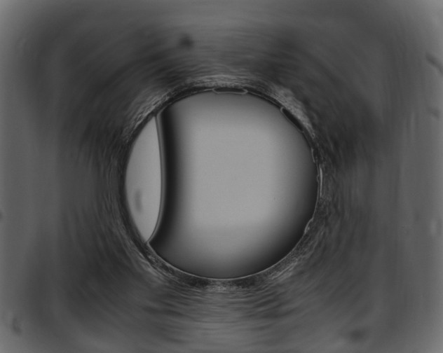 X0000097600109200802290741