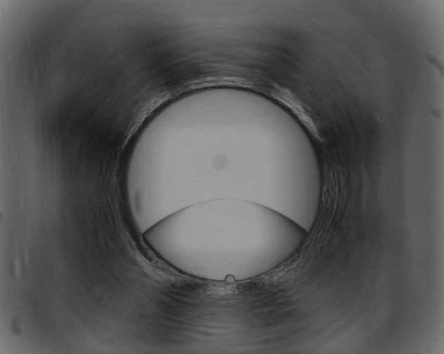 X0000097600110200802290741
