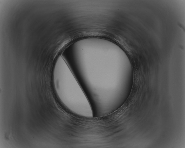 X0000097600111200802290741