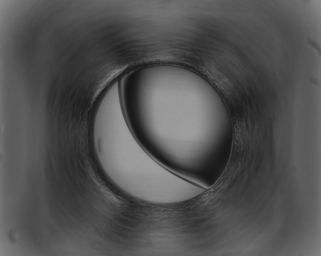 X0000097600112200802290741