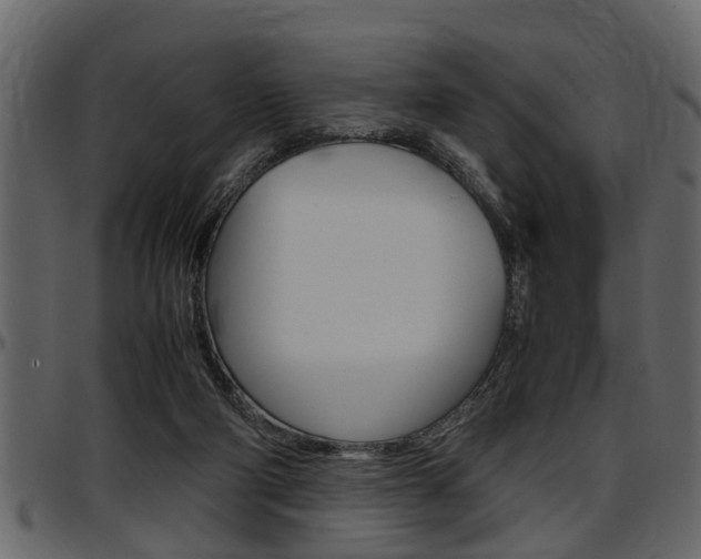 X0000097600114200802290741