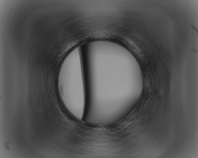 X0000097600115200802290741