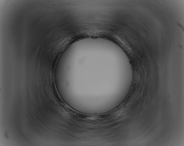 X0000097600117200802290741