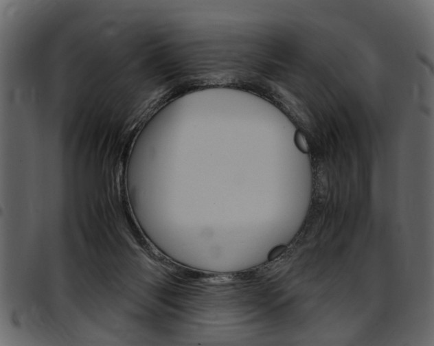 X0000097600118200802290741