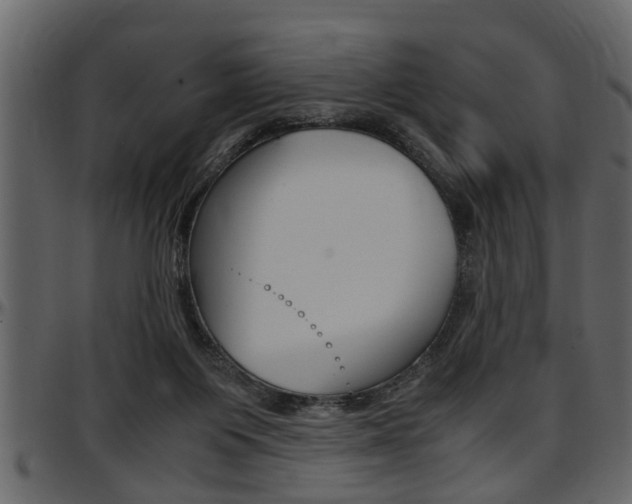 X0000097600119200802290741